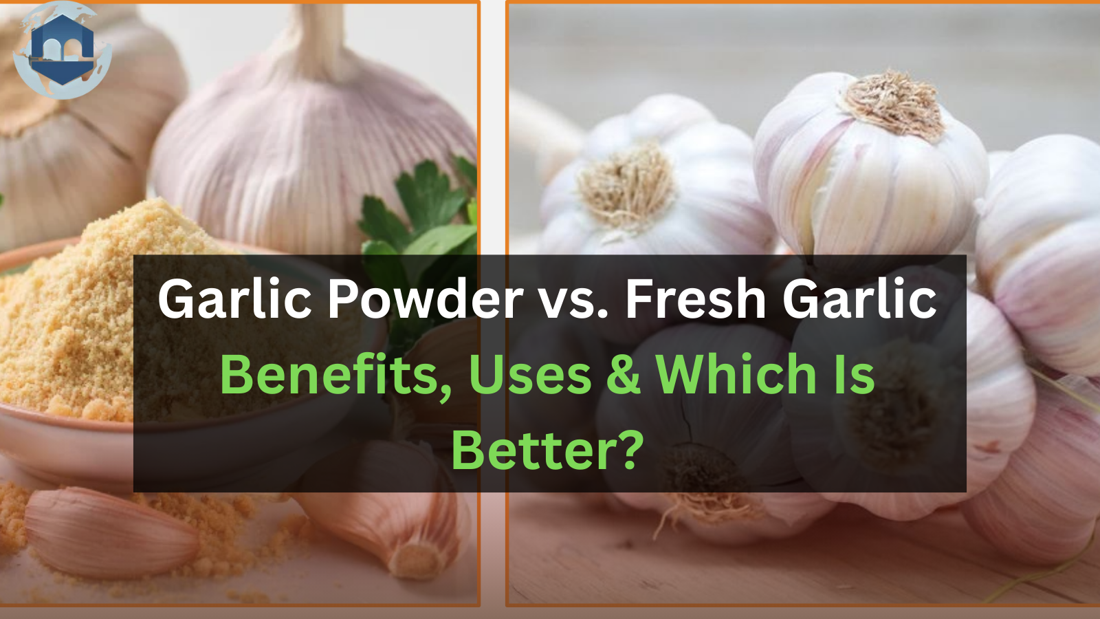 Garlic Powder vs. Fresh Garlic: Benefits, Uses & Which Is Better?