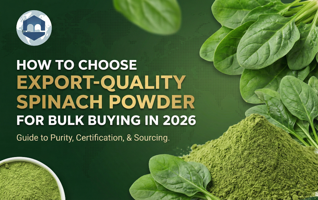 How to Choose Export-Quality Spinach Powder for Bulk Buying in 2026