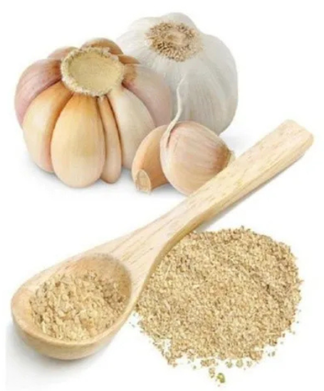 Garlic Dehydrated Powder