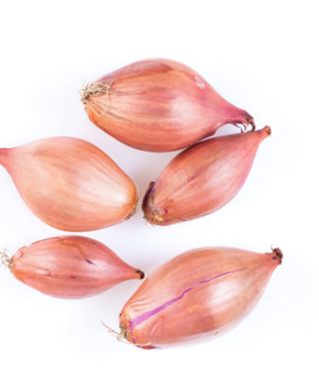 Shallot Onion